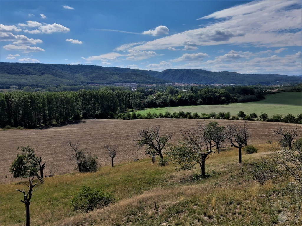 Blick von der Teufelsmauer in Richtung Thale und den Nordrand des Harz'.