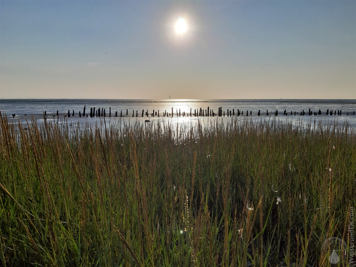 Wattenmeer an der Wurster Nordseeküste
