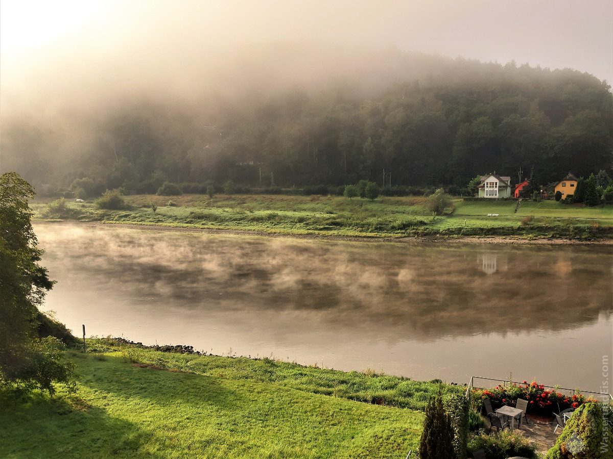 #Sonnenaufgang Nebelschwaden Elbe