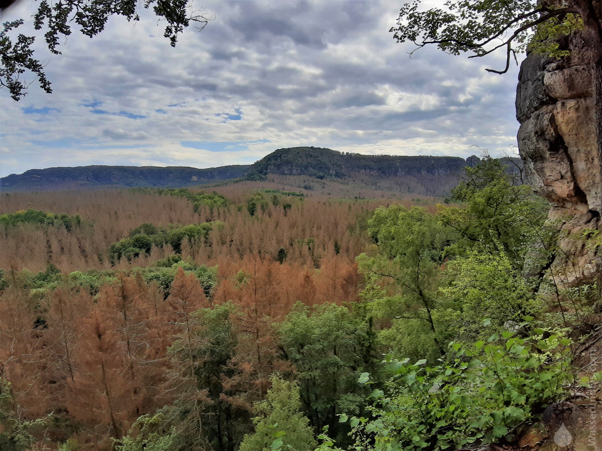 #Kuhstall Ausblick 2020